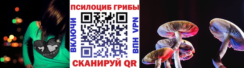 Галлюциногенные грибы MAGIC MUSHROOMS  Фрязино 