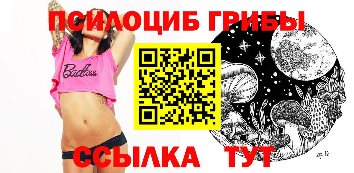 Фрязино  Галлюциногенные грибы Psilocybe  Галлюциногенные грибы мицелий  Вход с VPN 