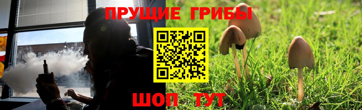 Псилоцибиновые грибы MAGIC MUSHROOMS Фрязино
