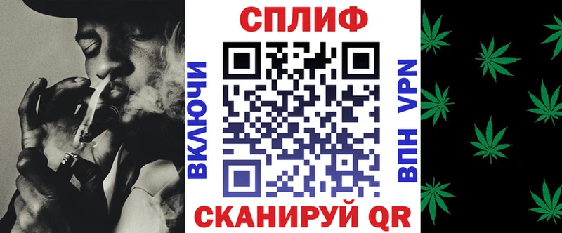 Каннабис конопля Фрязино
